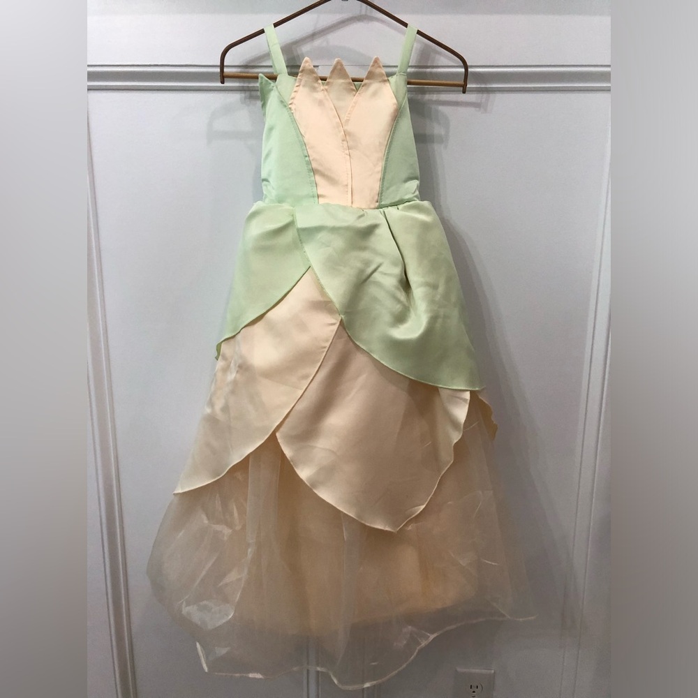 Princess Tiana Costume 10